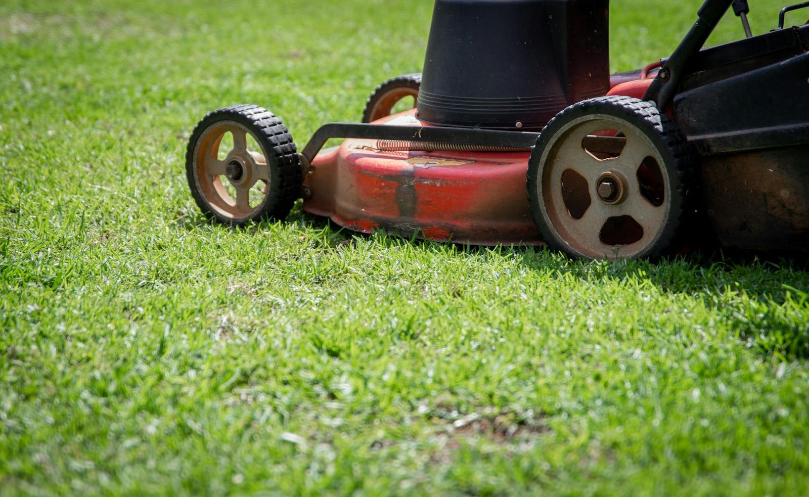Sun Valley Lawn